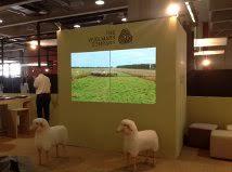 Settimana della lana, sfilata green in Montenapoleone