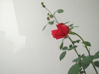 Recensione e videorecensione di Xiaomi Mi 4i, device mid-range con aspirazioni da high-end!