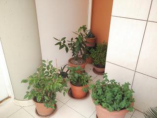 Recensione e videorecensione di Xiaomi Mi 4i, device mid-range con aspirazioni da high-end!