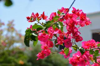 Pensieri di fine estate: