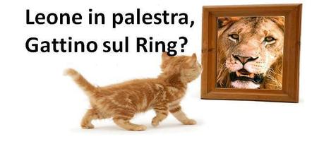 Perché un leone in palestra, e un Gattino sul ring?