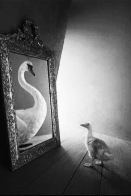 I pensieri di Roberto Rizzo: Aforisma 78