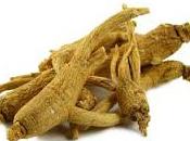 Settembre fiacco? riparte Ginseng