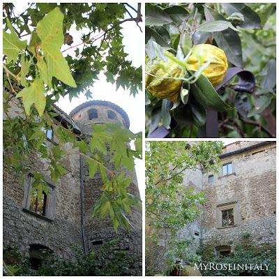 Piccoli tesori nascosti: l'orto medievale di Vasanello