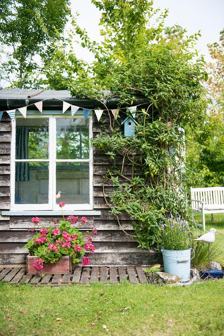 Garden shed exterior