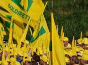 MILANO. Mille pavesi marcia EXPO Milano Giornata dell’Agricoltura Italiana