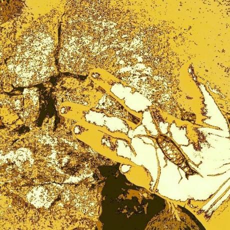 A Savona la prima mostra dei Realvisuali