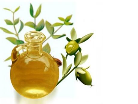 Olio di Jojoba, scopriamolo insieme!