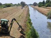 ANBI Toscana Expo 2015 Contratti Fiume