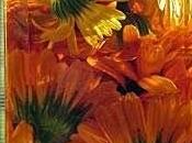 Oleolito calendula, ottimo antirughe