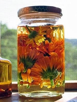 Oleolito di calendula, ottimo antirughe
