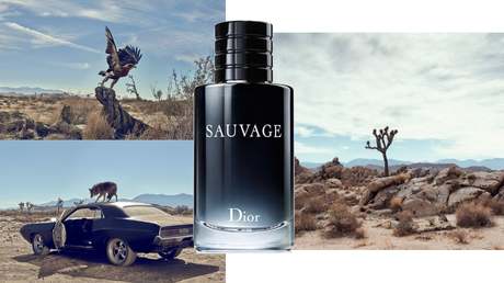 IL PROFUMO: SAUVAGE di DIOR