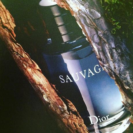 IL PROFUMO: SAUVAGE di DIOR