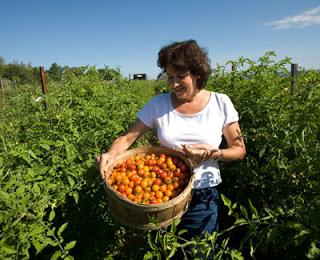 Le donne, il sud e l'agricoltura i soggetti trainanti dell'economia