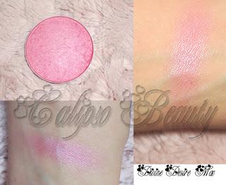 Blush Collection (Powder Version)