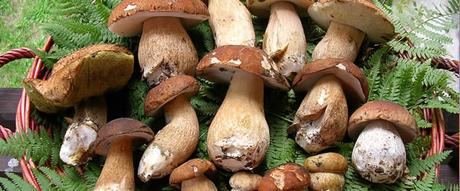 5 Sagre da non perdere in Campania: weekend 18-20 settembre 2015