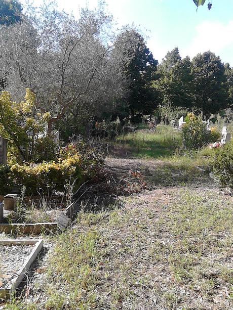 Le strazianti condizioni del Cimitero di Prima Porta. Defunti umiliati in maniera atroce, parenti idem. E qui Ama che scuse ha?