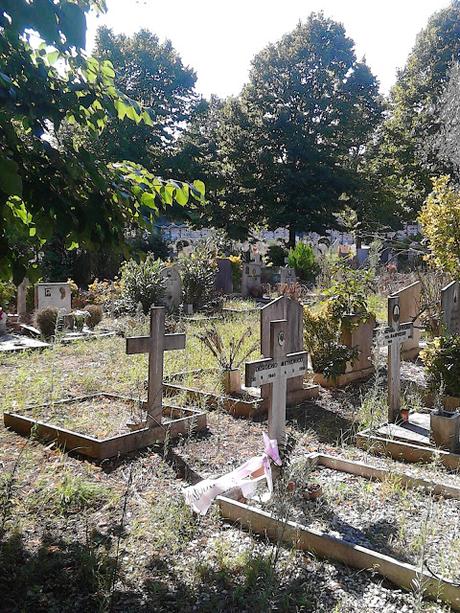 Le strazianti condizioni del Cimitero di Prima Porta. Defunti umiliati in maniera atroce, parenti idem. E qui Ama che scuse ha?