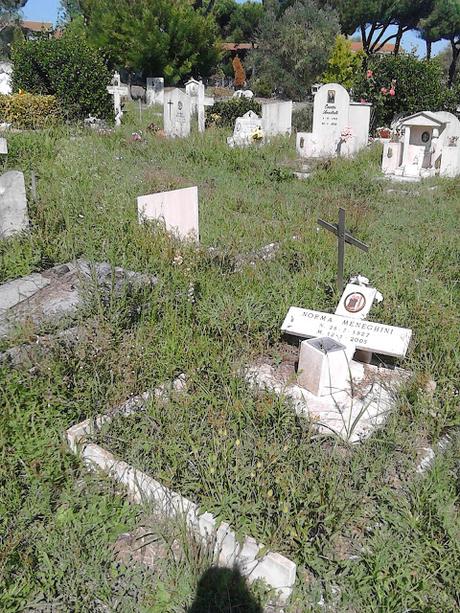 Le strazianti condizioni del Cimitero di Prima Porta. Defunti umiliati in maniera atroce, parenti idem. E qui Ama che scuse ha?