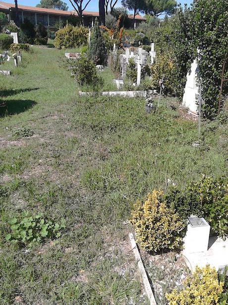 Le strazianti condizioni del Cimitero di Prima Porta. Defunti umiliati in maniera atroce, parenti idem. E qui Ama che scuse ha?