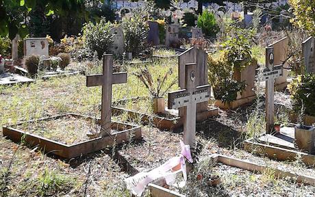 Le strazianti condizioni del Cimitero di Prima Porta. Defunti umiliati in maniera atroce, parenti idem. E qui Ama che scuse ha?