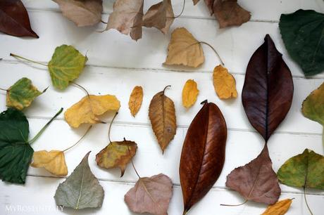 Corona di foglie secche