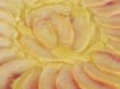 Crostata ricotta pesche