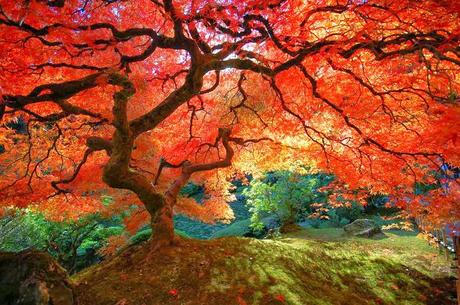 Apprezza le bellezze del pianeta,  un consiglio a settimana per migliorare la propria vita e quella altrui