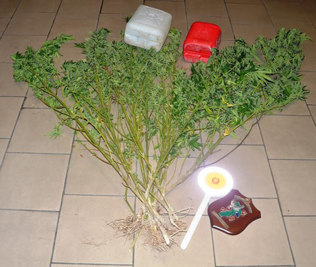 Coltivava marijuana: arrestato 41 enne a Papanice