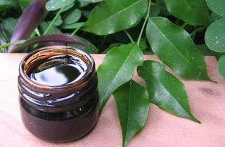 L'efficacia del balsamo di Tolù per la tosse e la pelle