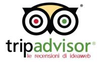 tripadvisor-ideaweb