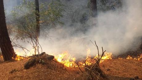 incendio vesuvio