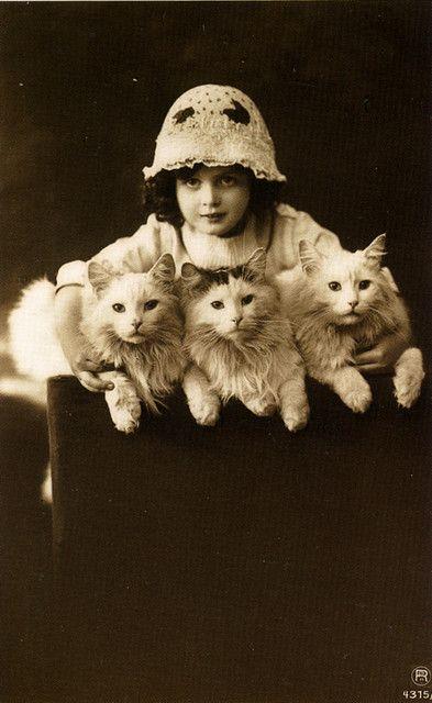 The first cat show in history: London, Chrystal Palace, July 13th, 1871.