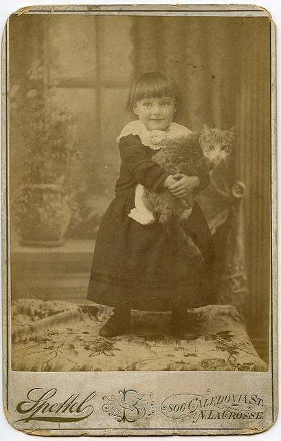 The first cat show in history: London, Chrystal Palace, July 13th, 1871.