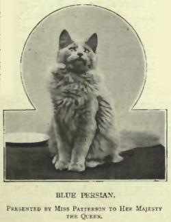 The first cat show in history: London, Chrystal Palace, July 13th, 1871.