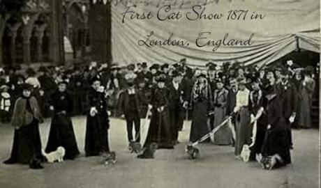 The first cat show in history: London, Chrystal Palace, July 13th, 1871.