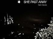 PAST AWAY, Narin Yalnizlik