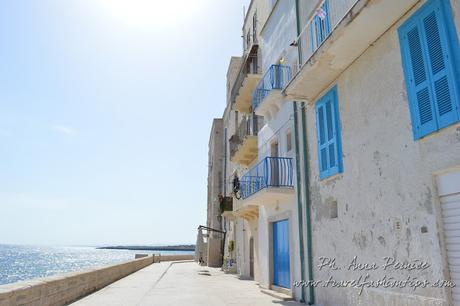 We are in Puglia: mare e barocco a Monopoli