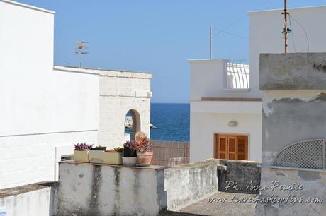 We are in Puglia: mare e barocco a Monopoli