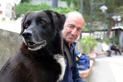 Il  mio AMICO ha ...  quattro zampe