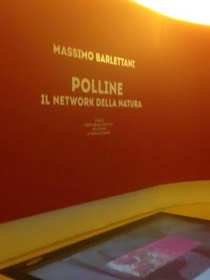 A proposito di “Polline, il network della natura” l'evento di Massimo Barlettani