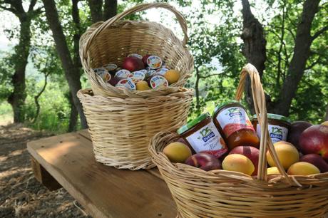 Come si fa la marmellata? Viaggio in Irpinia alla ricerca della ricetta perfetta