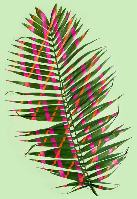 ARTE: Wonderplants di Sarah Illenberger