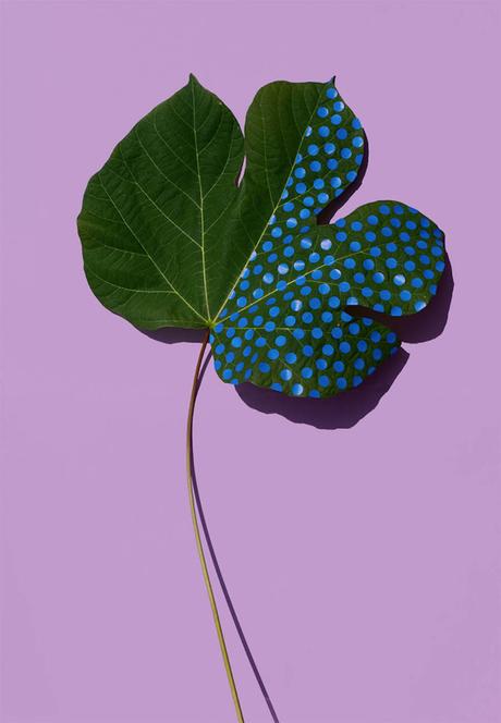 ARTE: Wonderplants di Sarah Illenberger