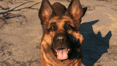 Fallout_4_Dogmeat (Small)