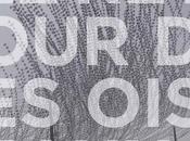 ALBERTO NOVELLO (Jestern) FLAVIO ZANUTTINI, Retour Oiseaux