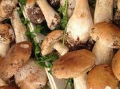 Sagra funghi porcini Cusano Mutri