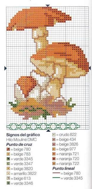 Cross stich - ricamiamo i Funghi