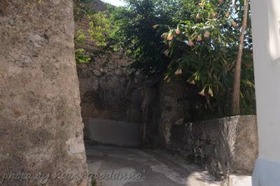 POSITANO: dedicato a Fornillo