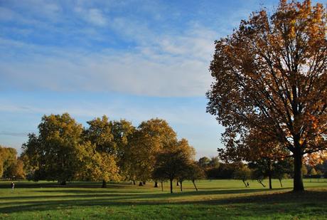 BENVENUTO AUTUNNO